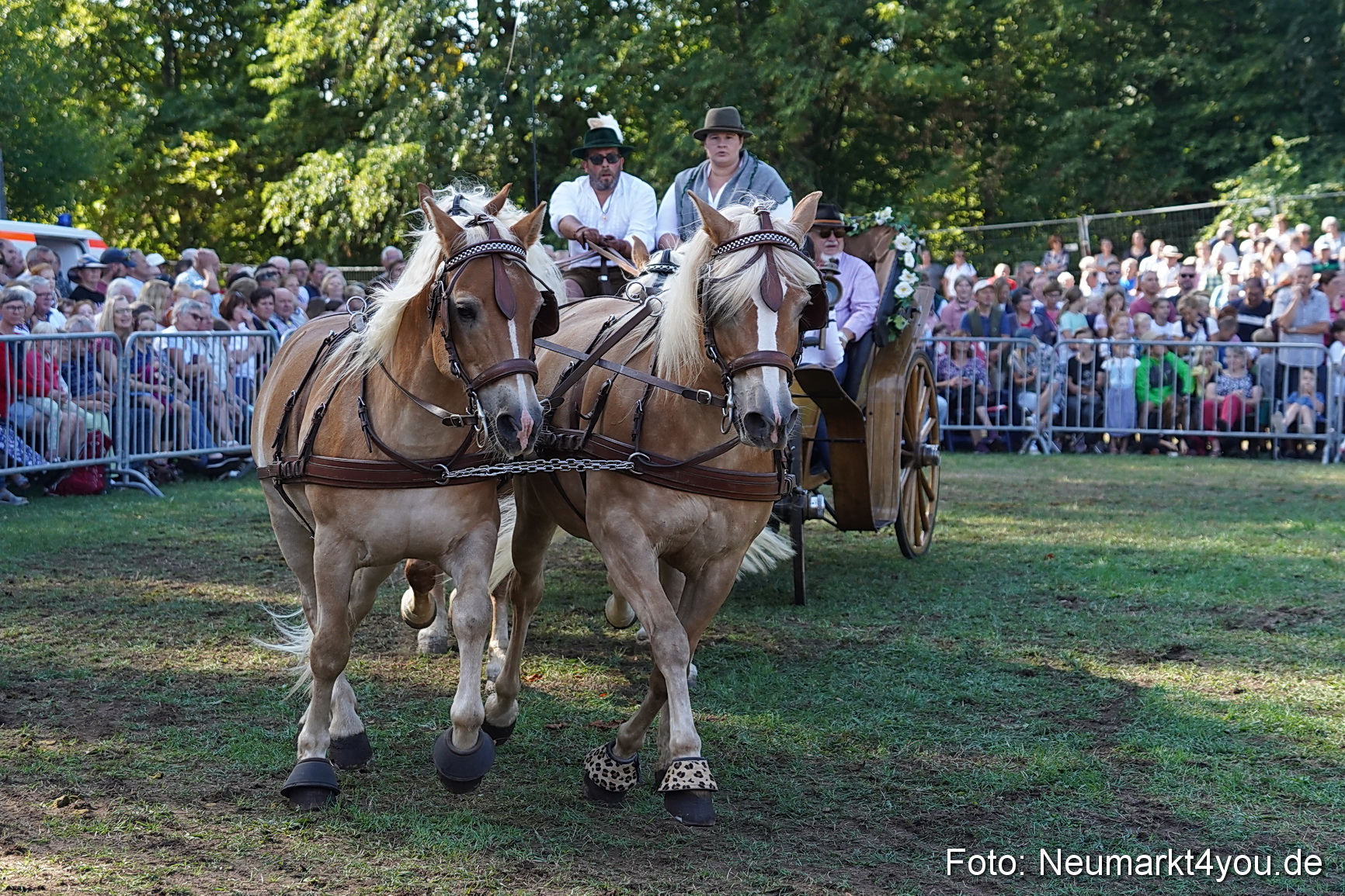 Pferde und Fohlenschau 2022 0134 